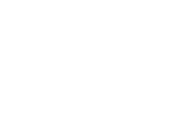 Tv Publica
