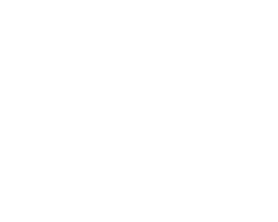 Wizink